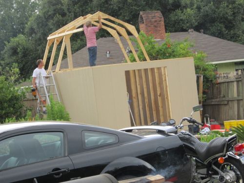 Trusses going into place on this 12x16 barn shed