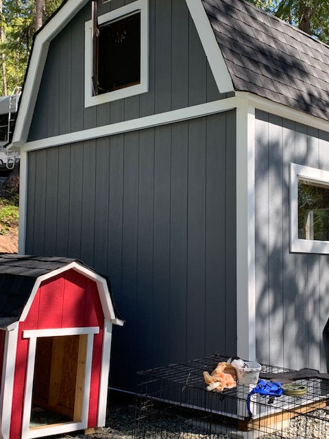 A picture of Dayne's dog house that matches his barn shed that he built. Dayne's barn style dog house picture.