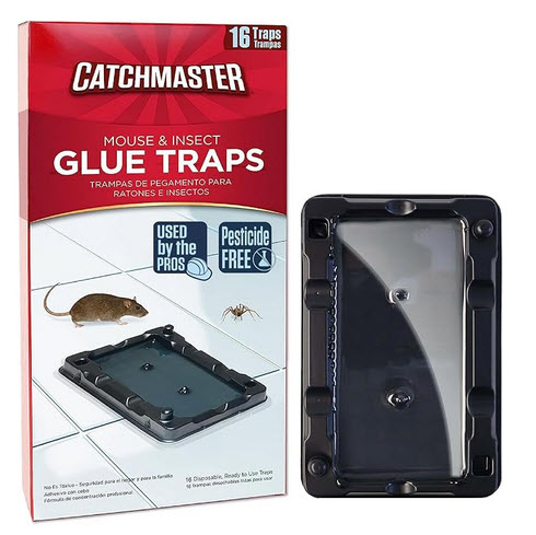 glue boards for catching mice