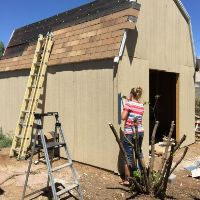 Wood shop shed ideas