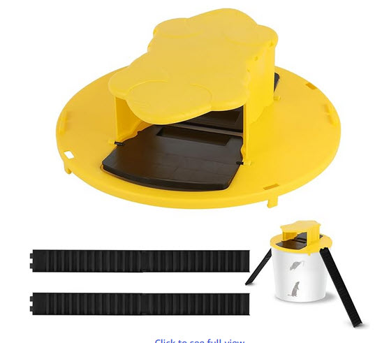 mouse bucket trap