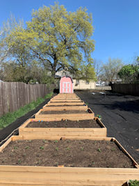 Garden beds in front of Mr. Stralens' barn shed. Garden beds in front of the shed.
