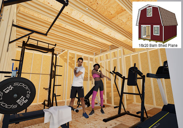 Workout gym shed plans